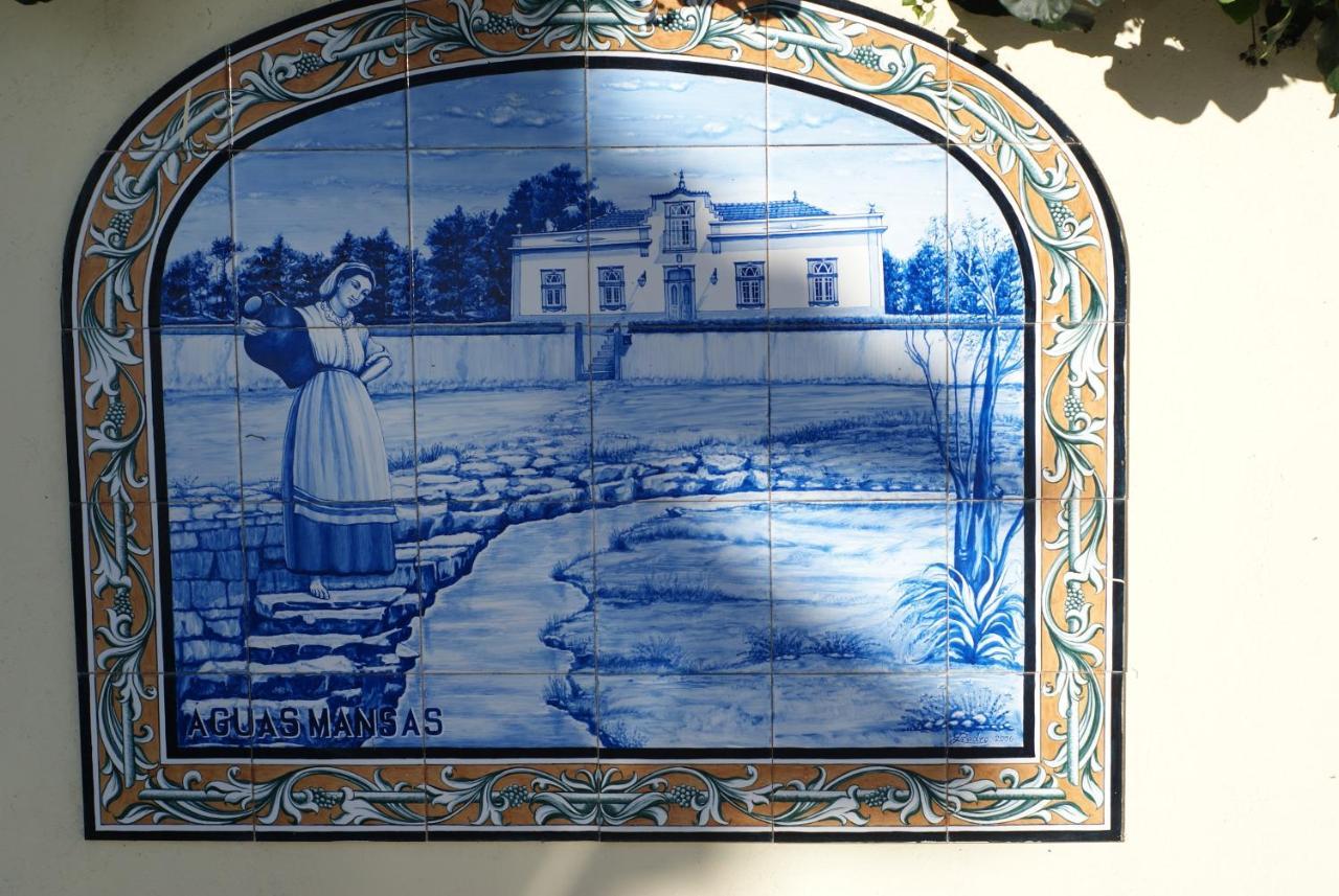Casa Aguas Mansas Bed and Breakfast Cadima Εξωτερικό φωτογραφία